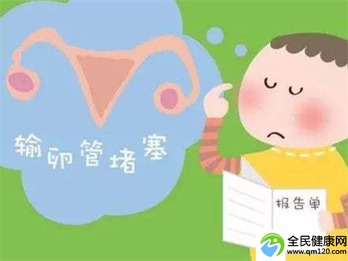 泰国试管三代的费用是多少