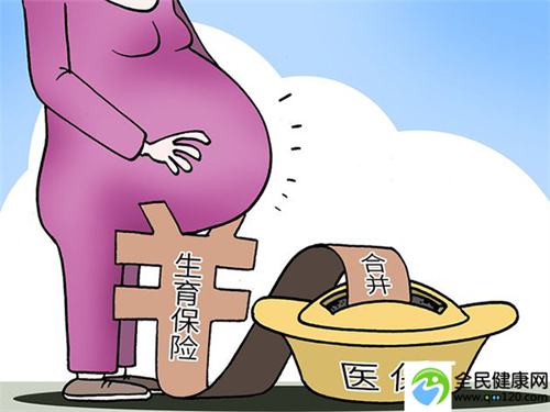 国内地下试管三代，国内私人机构做三代试管