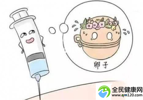 卵巢早衰去哪做试管好
