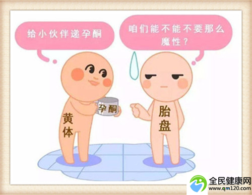 国内试管****2020