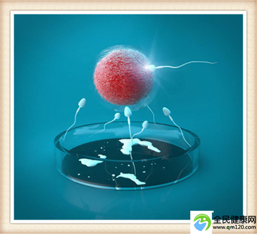 单身做试管需要什么手续