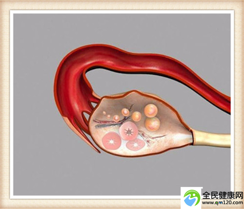 孕前这样调理饮食可以开启孕期，你做对了吗？