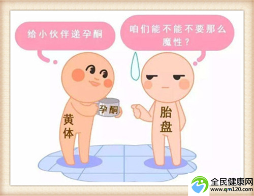 备孕期吃什么易怀孕？过来人告诉你答案