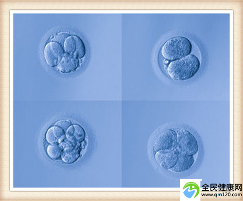 hiv能做泰国试管吗