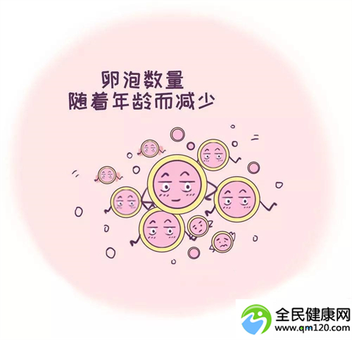 未婚可以试管嘛（未婚博主试管生子）