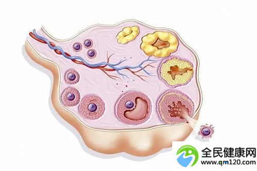 准备怀孕的姐妹，必须看看这几个点！