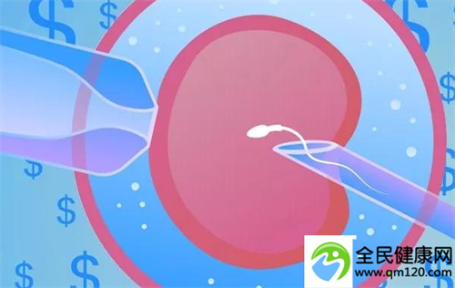 深圳哪里第三代试管好（深圳三代试管群有哪些公司）