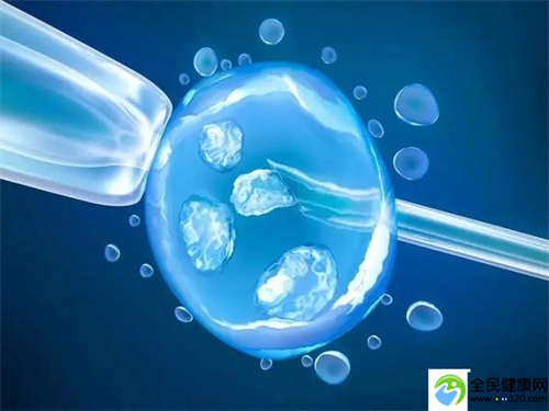 泰国第三代**（试管三代泰国ibaby）