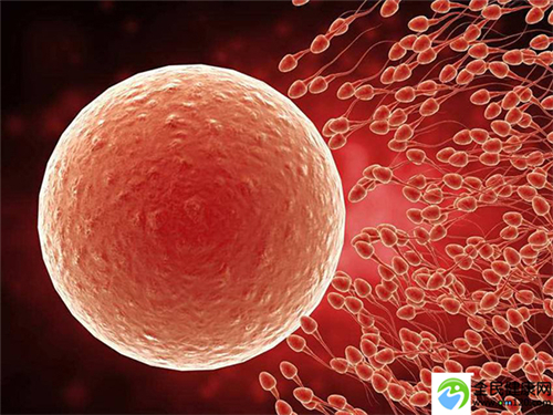 hiv男国内做三代试管，国内第三代试管婴儿有几家
