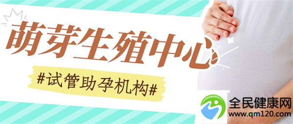 始基子宫试管（始基子宫能做试管）