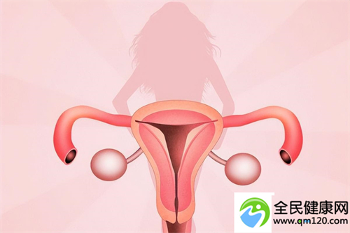 三代试管nt增厚案例