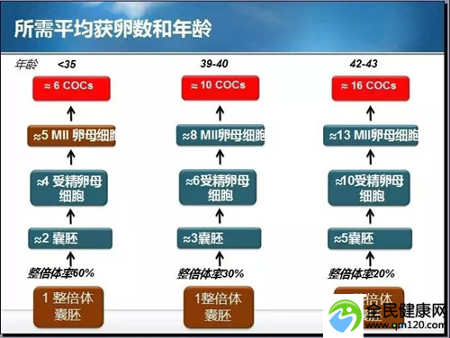 试管三代染色体异位率高