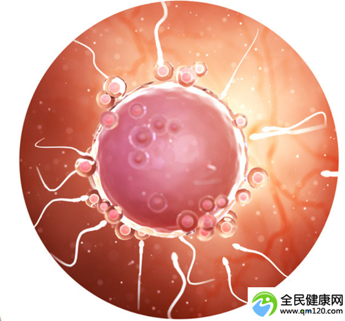 腺肌症试管是几代试管
