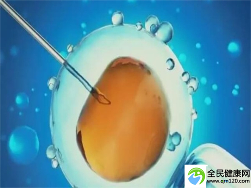 国内比较好试管医院排名