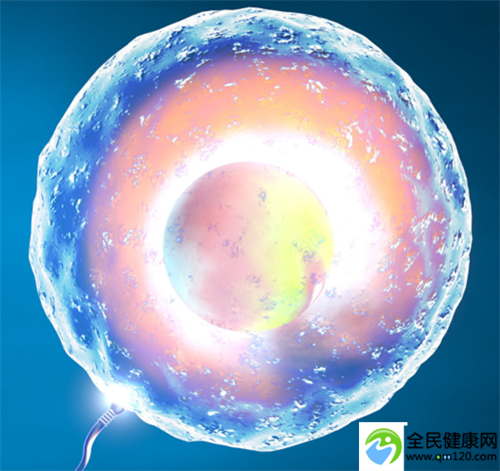 武汉做第三代试管多少钱一次啊