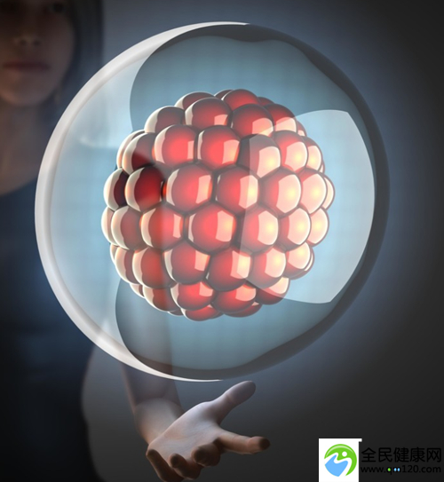 胎停后多久可以备孕？要注意什么？