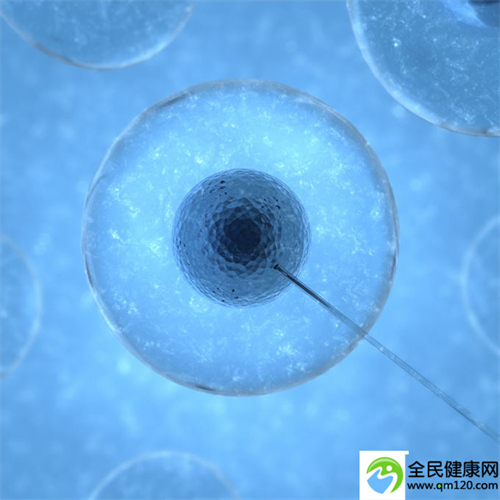 染色体易位可以做几代试管