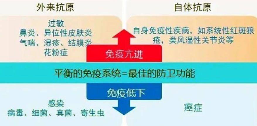 被誉为“细胞”的CIK免疫细胞疗法到底有什么特殊的作用
