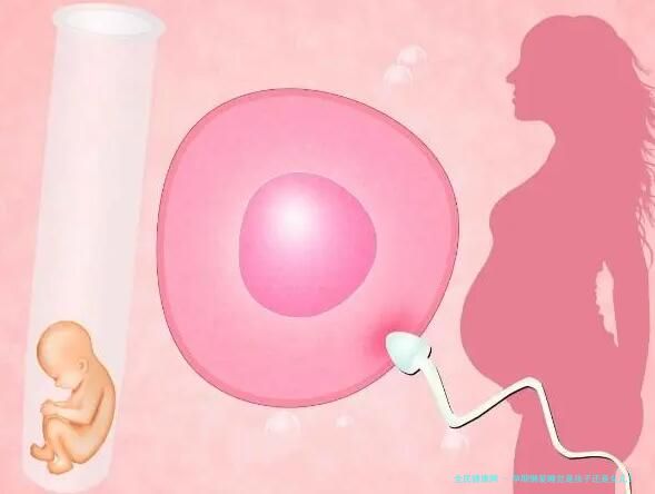 潍坊助孕试管医院排名 潍坊试管婴儿哪家能助孕