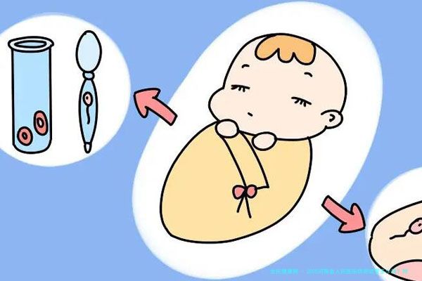 亲密关系中的声音密码：当代男性情感偏好调查报告