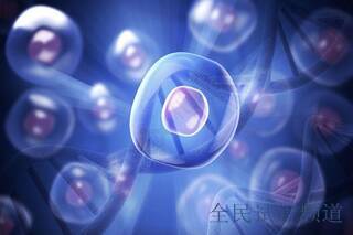 2025鄂州三代试管医院排名,最新榜单出炉