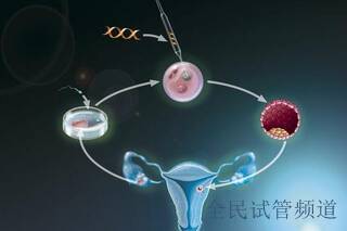 北京试管婴儿费用全解析，价格构成一目了然