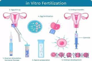 合肥三代试管婴儿详细费用已公布，附合肥试管婴儿成功率！