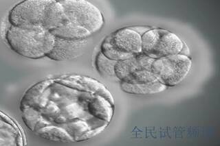 成都三代试管年龄限制解析,患者年龄要求详解