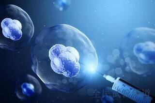 2025泰国试管流程详解,三**步骤解析