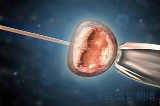 2025绵阳试管婴儿费用解析，成功率全指南