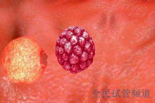 昆明私立医院三代试管费用,一次多少钱