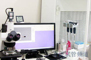 少弱精人工受精失败，试管双胎喜获成功