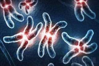 2025试管费用明细,人工受孕价格一览