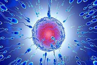 2025上海HIV赴泰试管不难，手续简化成功率高