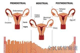 佛山试管婴儿医院排名，权威机构费用一览