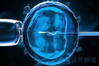 2025随州试管成功率预测，三代技术助孕新突破