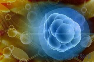 2025上海试管机构前四强,成功率费用全面对比