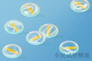 2025呼和浩特试管助孕机构哪家强，综合排名助你选择！