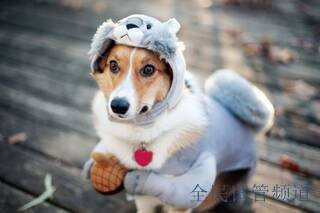 三亚三代试管助孕机构精选,专业团队助您圆梦好孕