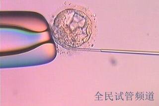 肇庆三代试管婴儿助孕费用如何做到性价比？