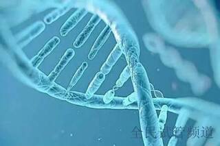 汕头做三代试管婴儿助孕有额外的费用吗?