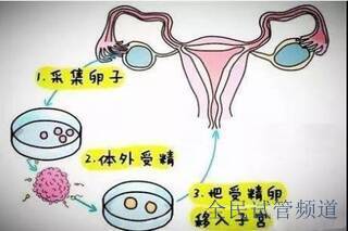 丹东三代试管婴儿助孕移植成功有哪些表现？