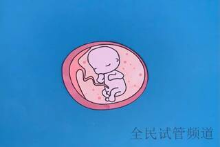 哈尔滨三代试管婴儿助孕要知道哪些知识？