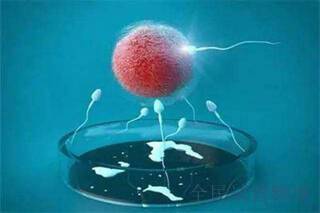 卵子质量差怎么做河池三代试管婴儿助孕？