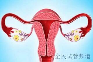 金华做三代试管婴儿助孕失败第二次还要交费吗？