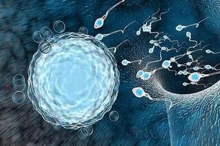 高龄做沧州三代试管婴儿助孕痛苦吗？