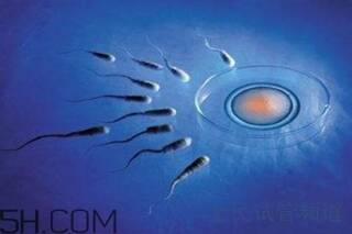 高龄做四平三代试管婴儿助孕成功率低？