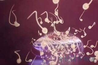 哈尔滨三代试管婴儿助孕适合哪些年龄做？