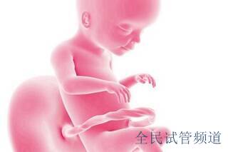 武汉做三代试管婴儿助孕鲜胚移植如何？