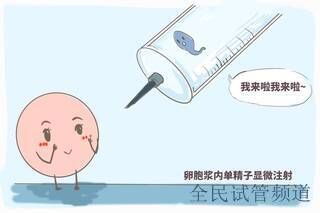 多囊做内江做三代试管婴儿助孕值得吗？